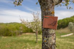 Cerckova domacija_april 2020_POMANJSANE-29-19